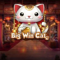 Big Win Cat